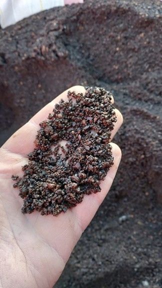 IJzerzand in het slow sand filter 1.jpg